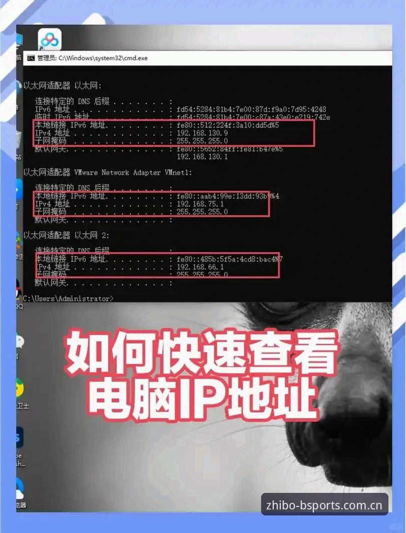B体育登录地址 3个关键技巧助你快速找到B体育登录地址,畅享48.1MB新版本体验